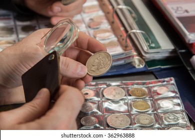 Two Numismatists Examines  Collection Of Coin