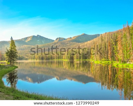 Two Ocean Lake mirroring at Grand Teton National Park, Wyoming, United States. Scenic landscape reflecting in the calm waters of the lake. North America in summer season. Blue sky with copy space.