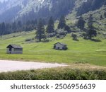 Two old barns are located on a mountain slope on green grass in a picturesque area.