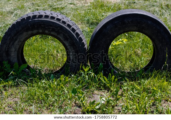 Two old big tires on a\
green lawn