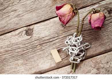 Two old chained roses symbolize endless love