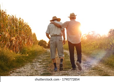 Two old friends.Two senior friends walks trough corn field on sunset.	
 - Powered by Shutterstock