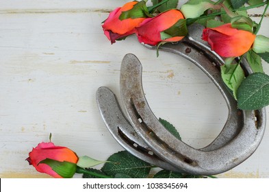 Two old horse shoes paired with silk red roses on a white-washed rustic wooden background makes a nice image with contrasting elements. Good for Kentucky Derby or any other equestrian theme.