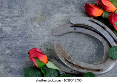 Two old horse shoes paired with silk red roses on a scratched up steel background make a nice image with contrasting elements of silk and steel. Good for Kentucky Derby or any other equestrian theme.