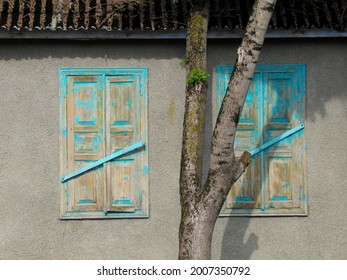                        Two old shuttered windows and a tree        