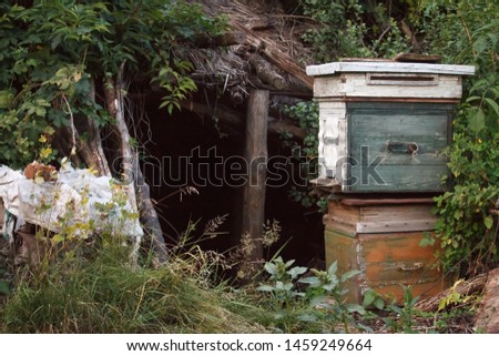Two old wooden closed beehives stand on each other against the background of an abandoned shack, aconcept of an abandoned village