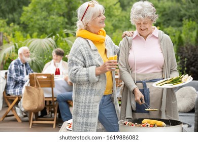 Two Older Friends Talking By The Barbecue On A Garden Party