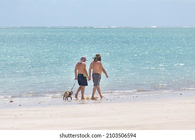 Two Older Men Walking Together On The Beach With Their Pug Dog. Couple Exercising Freely On The Beach. Diversity And Gender Freedom Concept.