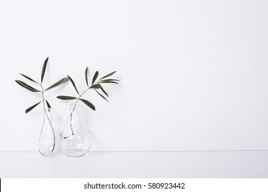 Two olive branches in glass bottles - Powered by Shutterstock