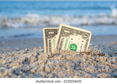 15,314 Sea dollar Images, Stock Photos & Vectors | Shutterstock