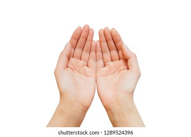 Two open empty woman hands with palms up. Isolated on white background. Top view.
