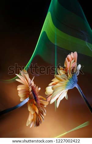 Similar – Image, Stock Photo tulip leaves Leaf Faded