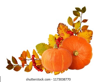 ██╬═ RECOLECTANDO MIS CALABAZAS ═╬██ COOKYE Two-orange-pumpkins-hawthorn-berries-260nw-1173038770