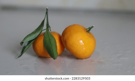 two oranges with a leaf on the stalk