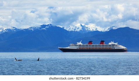 Two Orca Whales     And Cruise  Liner Are Shown On Snow Mountains   Background, Alaska, The USA