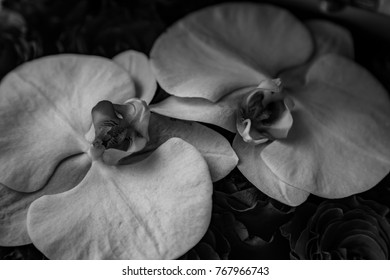 Two Orchids In A Bouquet