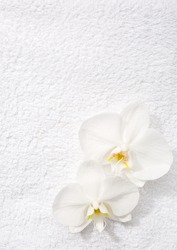 Two  Orchids   Lying On White Terry Towel.  View From Above. Spa Concept.