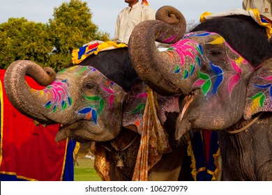 Two painted elephants posing at the Elephant festival in Jaipur,India