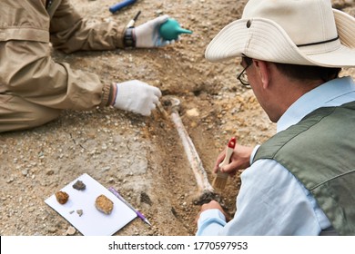 two paleontologists extract fossilized bone from the ground in the desert, focus on a close researcher