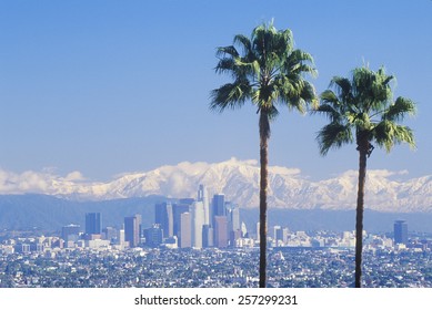 Two palm trees, Los Angeles and snowy Mount Baldy as seen from the Baldwin Hills, Los Angeles, California