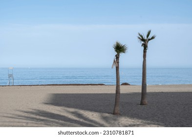 Two palm trees on a lonely beach and a metallic tower or chair or lifeguard post in the sand in the Mediterranean sea.