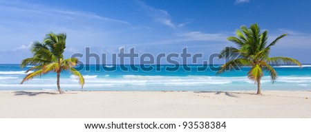 Two palm trees on the tropical beach, Bavaro, Punta Cana, Dominican Republic