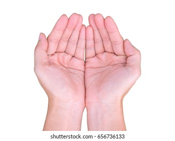Two palms on a transparent background.