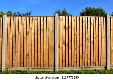 Two Panels Of A Classic Wooden Featheredge Garden Fence With Concrete Support Posts