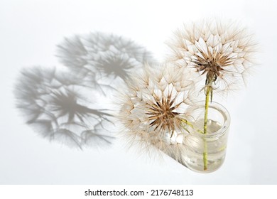 Two Pappus Balls In Glass Pot