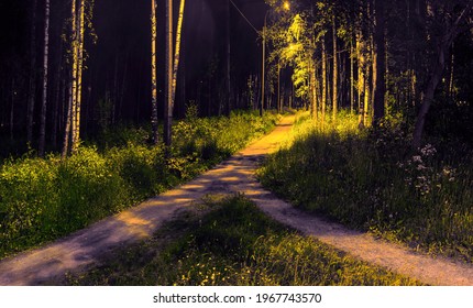 Two paths among grass and trees merged into one. Night view in the park under electric lighting of lanterns - Shutterstock ID 1967743570