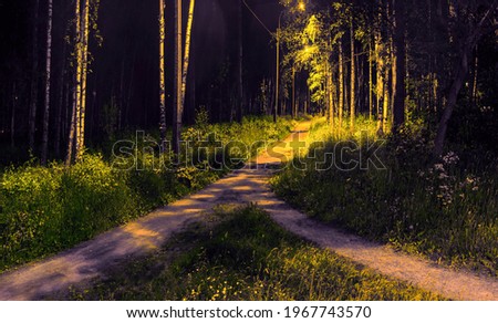 Two paths among grass and trees merged into one. Night view in the park under electric lighting of lanterns