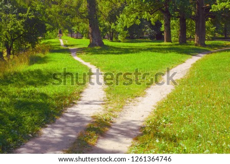 Two paths diverging to the sides and a lone cyclist on one of them drives away