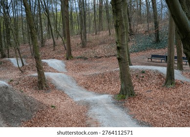 Two paths with hills winding through the trees. Routes for cyclists.