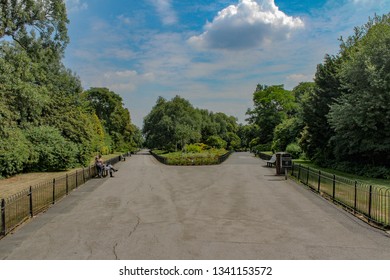 two paths on the park