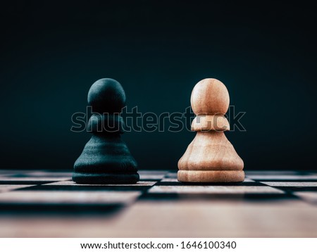 A two pawns, one black and one white, standing side by side. A concept showing equality and diversity.