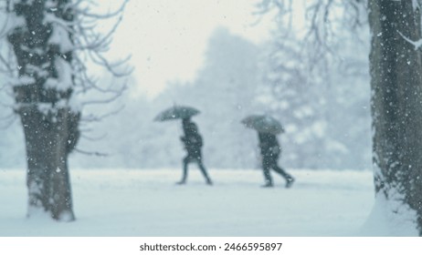 Two pedestrians with umbrellas stroll along a trail running across the idyllic wintry park. People walk along a scenic snowy path in the park during a snowstorm in the midst of covid19 pandemic. - Powered by Shutterstock