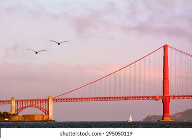 Two Pelicans Fly Over The Golden Gate Bridge In San Francisco, California, One Of The Most Iconic Bridges In The World. No People. Copy Space