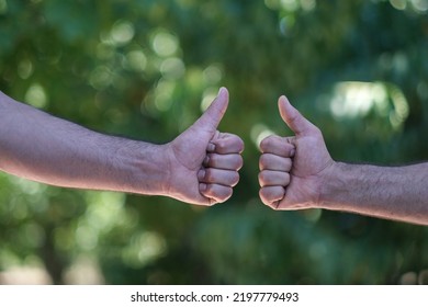 Two People Making Hand Sign Thumbs Up And Thumbs Down, Yes Or No, Like Or Dislike Concept