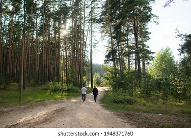 Two People A Man And A Woman Are Engaged In Sports Walking With Sticks In The Forest In The Summer Against The Background Of Pine Trees And Blue Sky