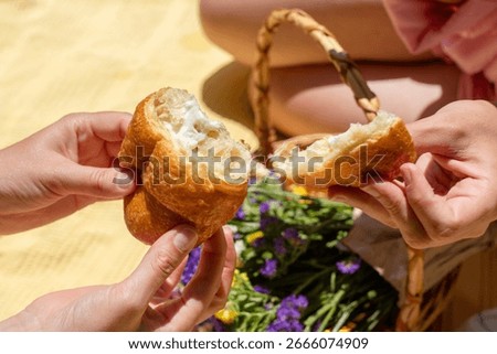 Two people are sharing a piece of bread in a relaxed picnic setting. This captures a sense of togetherness, community, and simple pleasures. Leisure, connection, or celebration of life's moments