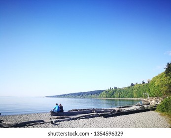 Two People Sitting On A Log On The White Sand See The Blue Sky And The Sea, Nice Weather With Green Trees.