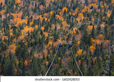 Two People Sliding Down Very Long And Fast Zipline During Autumn In Stowe, Vermont