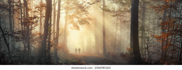 Two people walking in the dreamy magic of a beautiful forest in autumn. With sun rays falling through golden mist, a panoramic view with tranquil atmosphere - Powered by Shutterstock