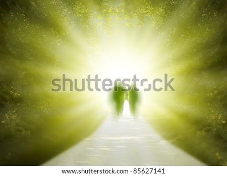 Two people are walking into the light of the paradise