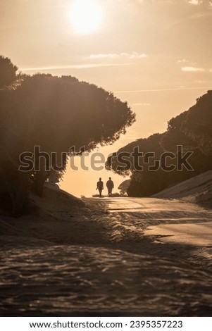 Two People Walking on a Sandy Path at Sunset