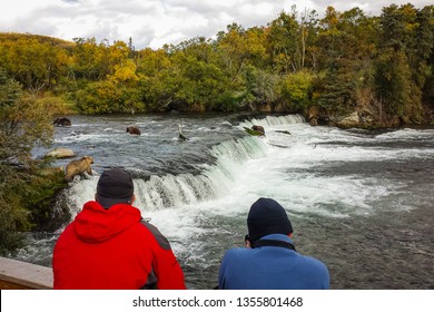 Two People Watching Five Bears On Brooks Falls, Alaska