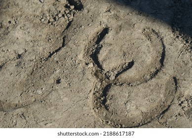 Two Perfectly Overlapped Horse Shoe Prints Left In The Sand After A Long Day At A Horse Show!