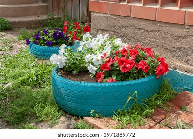 Two Petunia Flower Beds Made In Old Car Tires Next To House. Horizontal Image.