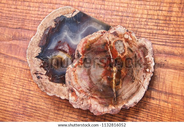 Two\
pieces of petrified wood on wooden background. Texture of polished\
cut of a petrified tree close-up. One piece of petrified wood with\
agate inside. Cross-section of woodstone. Top\
view