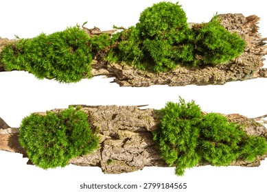 Two pieces of tree bark covered with green moss are isolated on a white background.